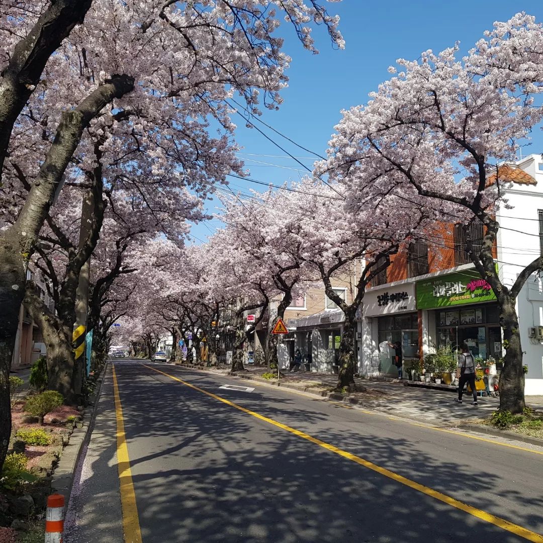 간만에 제주
풍경사진만 올렸지만
엄청먹고왔어당

살 언제빼냐ㅠㅠ