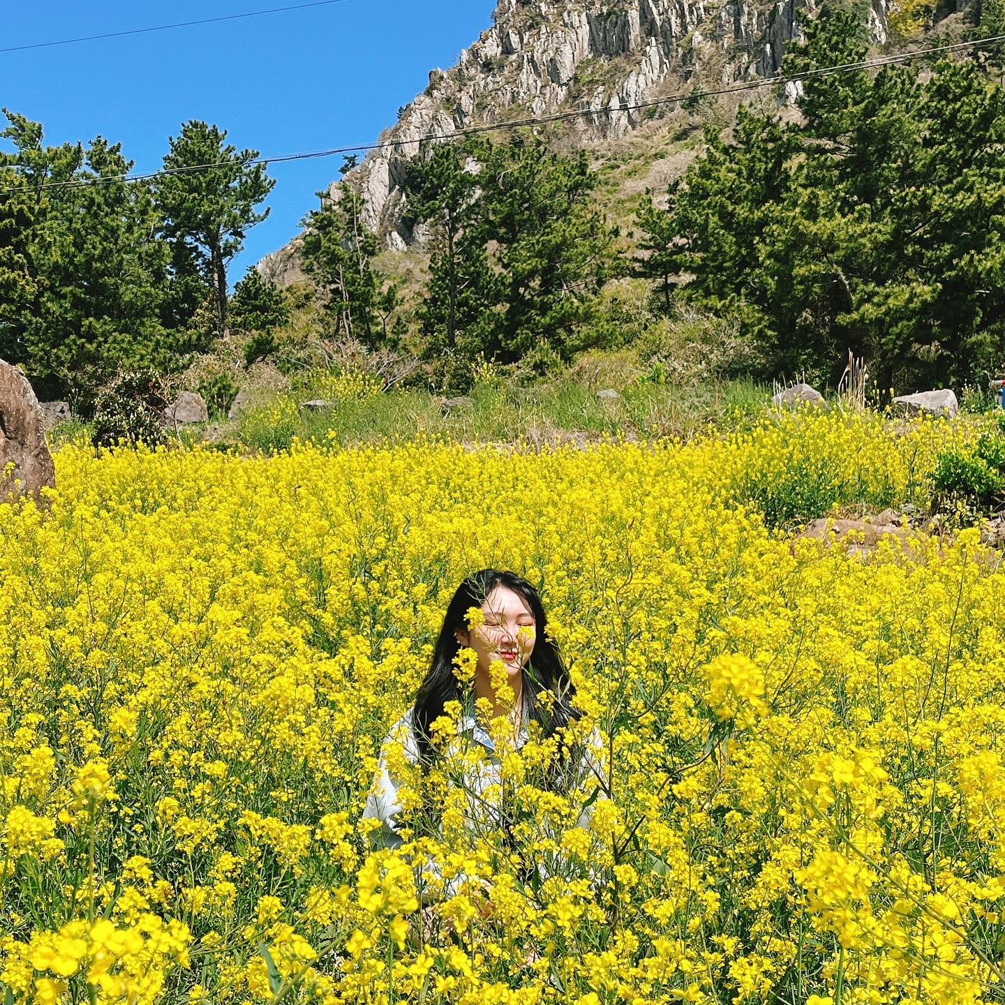 ☺️😌🌼