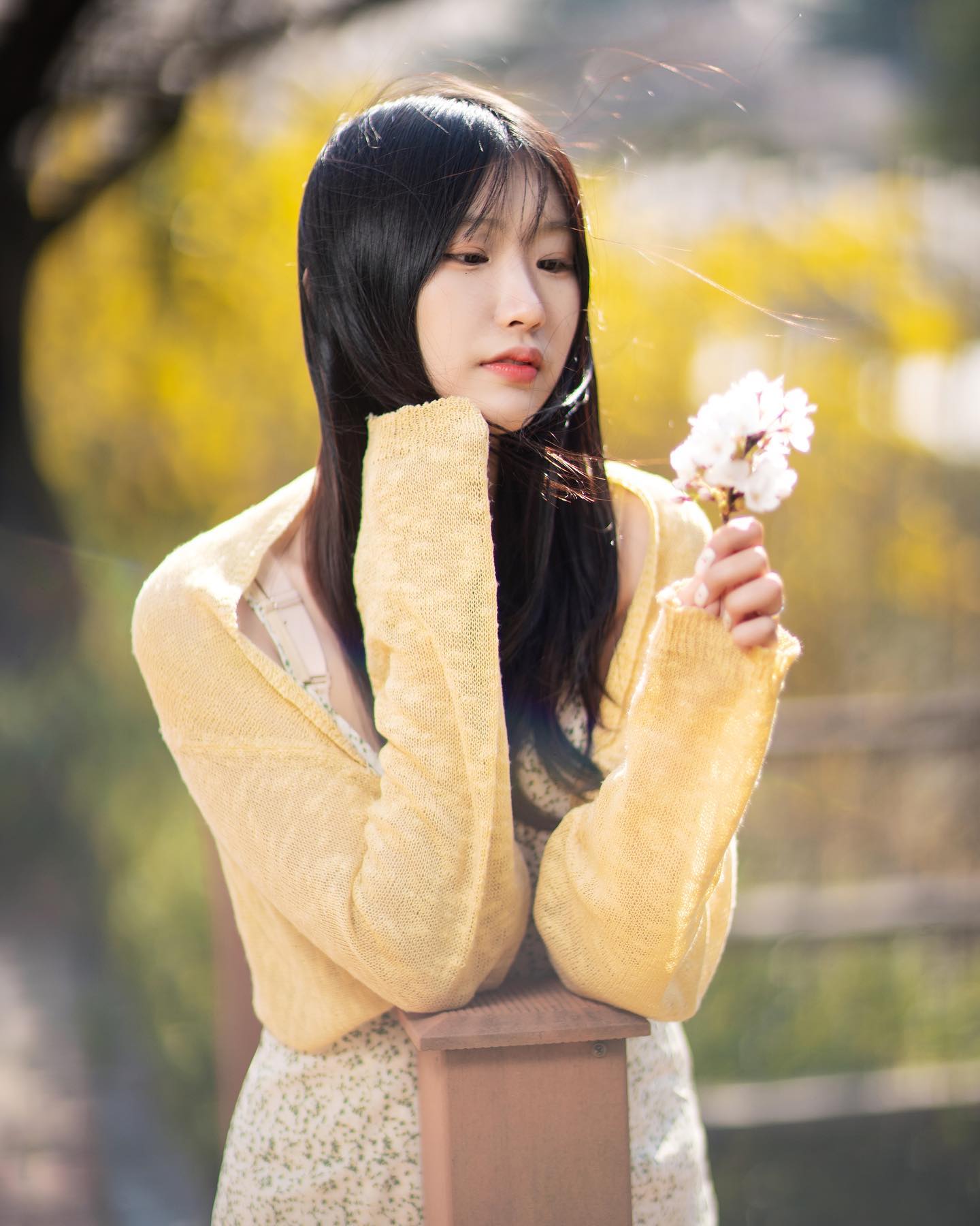 봄🌸