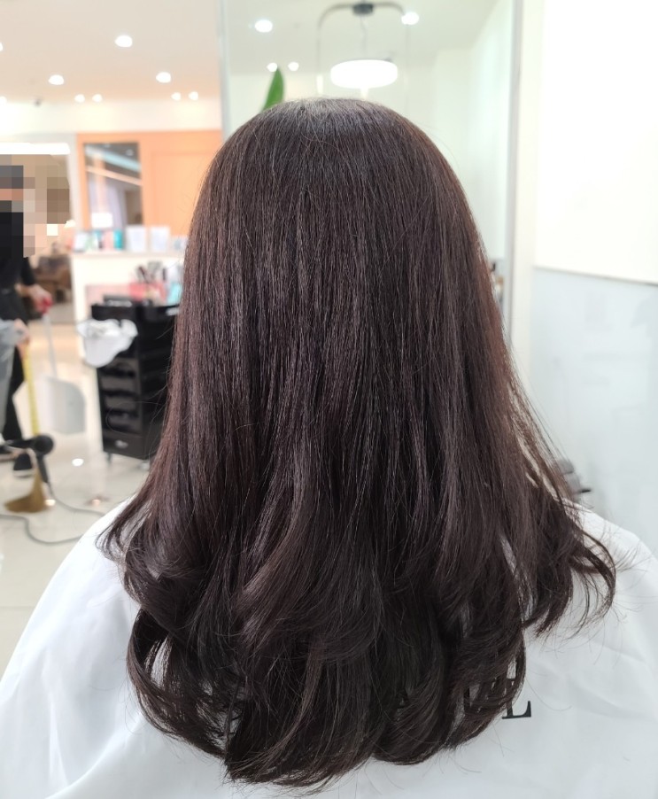 대전둔산동미용실 시청역 박가을헤어에서 염색했어요.