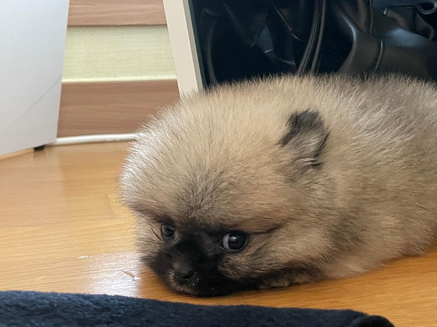 사랑해 애기💕 
덕자 벌써 보고싶다💕 
평생 엄마랑 함께하자❤️