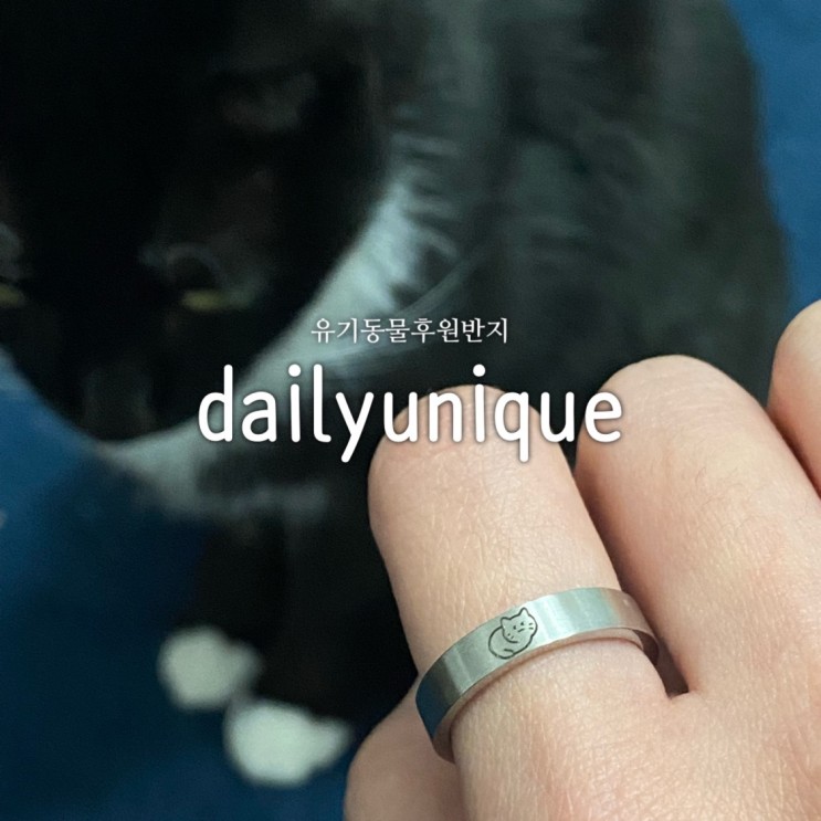 유기동물후원  데일리유니크 유기묘후원반지
