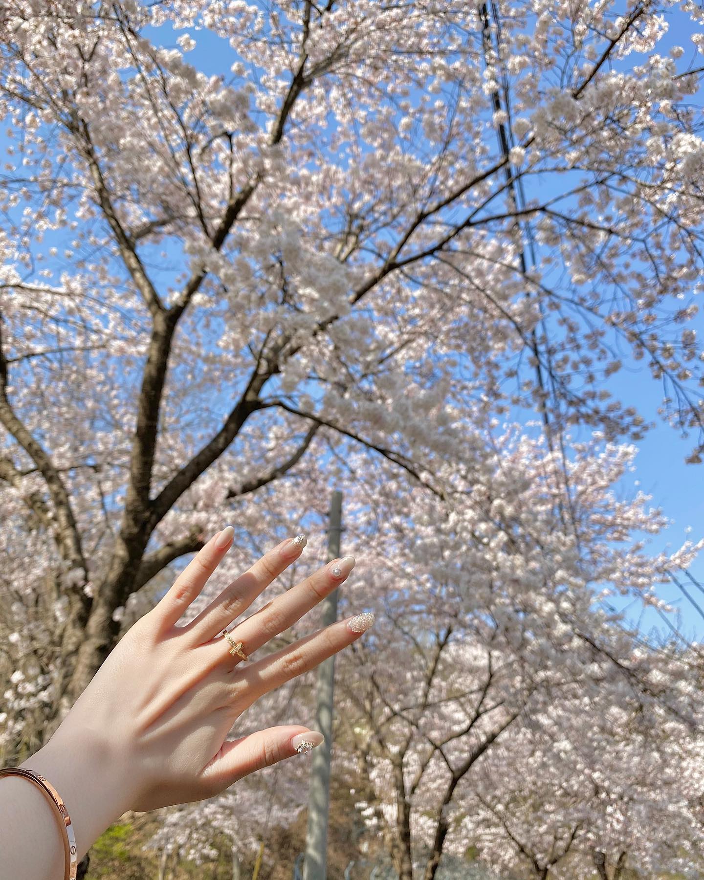 🌸🍿