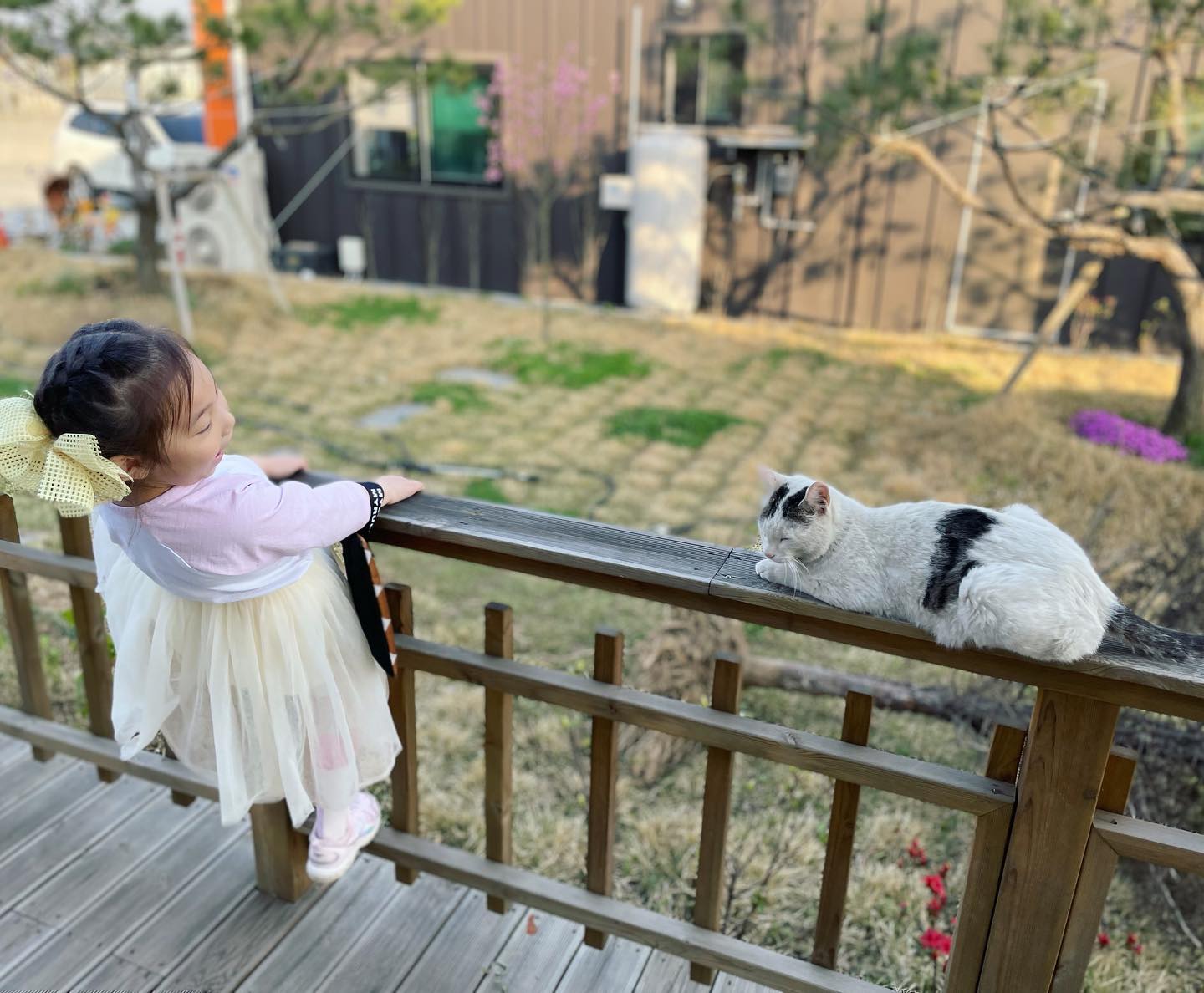 동물이랑 교감하는 

마음이 따듯한 라엘이😊

#요즘우리집에서사는애
#라엘이동네친구봉이🐈
#개냥이😻