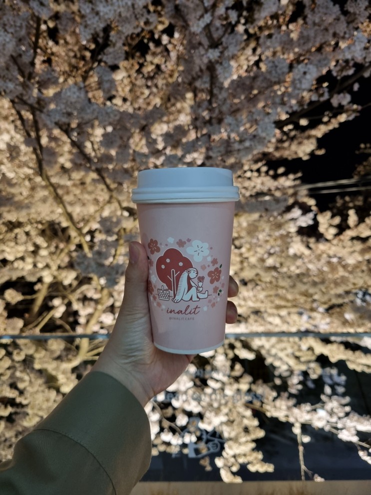 [울산] 언양 작천정 카페 '이너리트', 1m 앞 작천정 벚꽃길, 밤에도 예뻐요 🌸