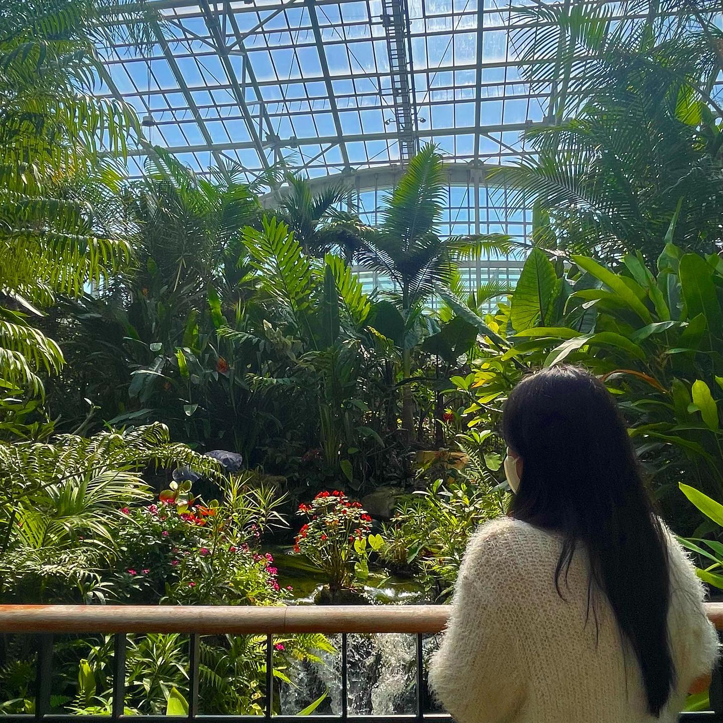 🌿
