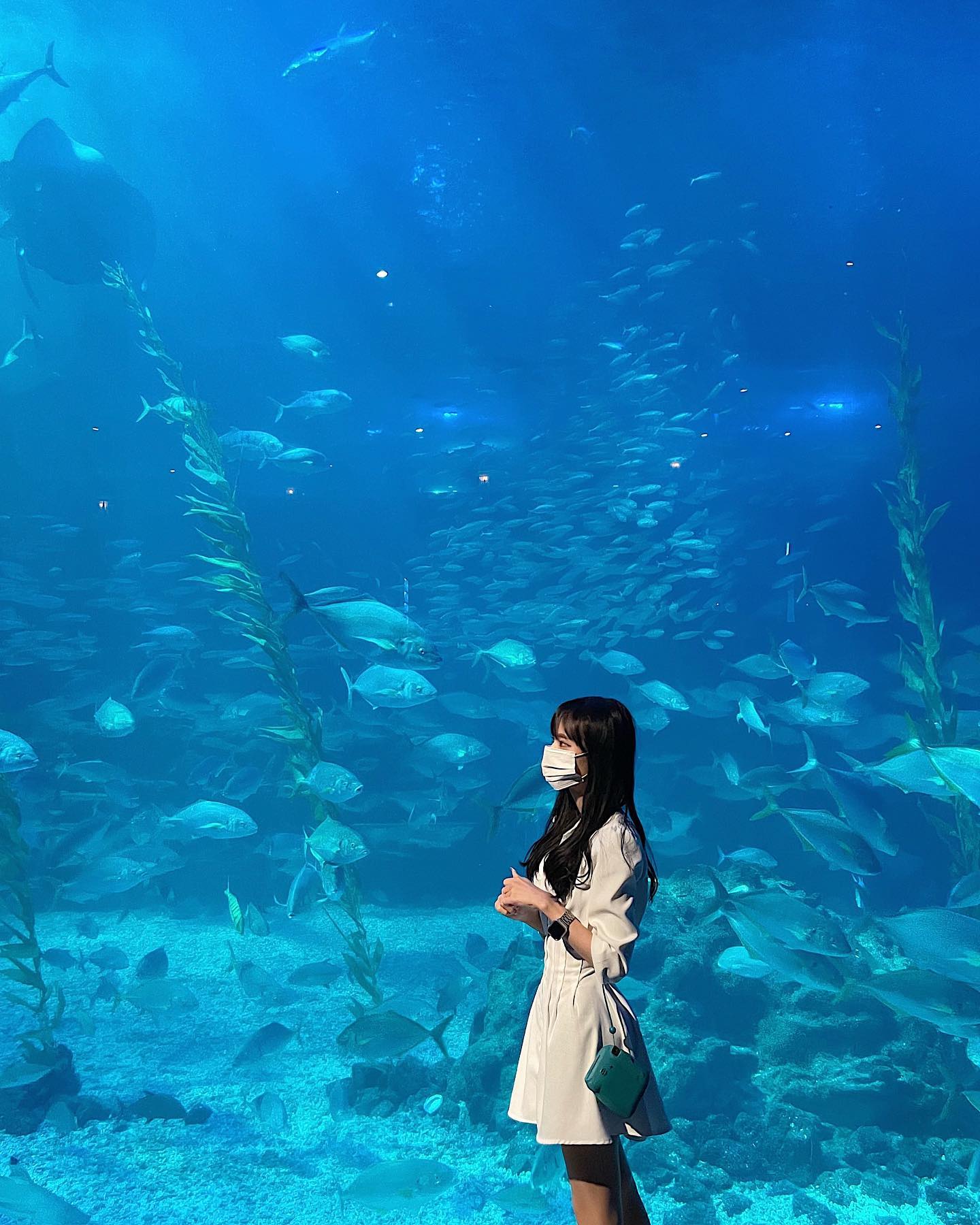 🐠🐟🐡