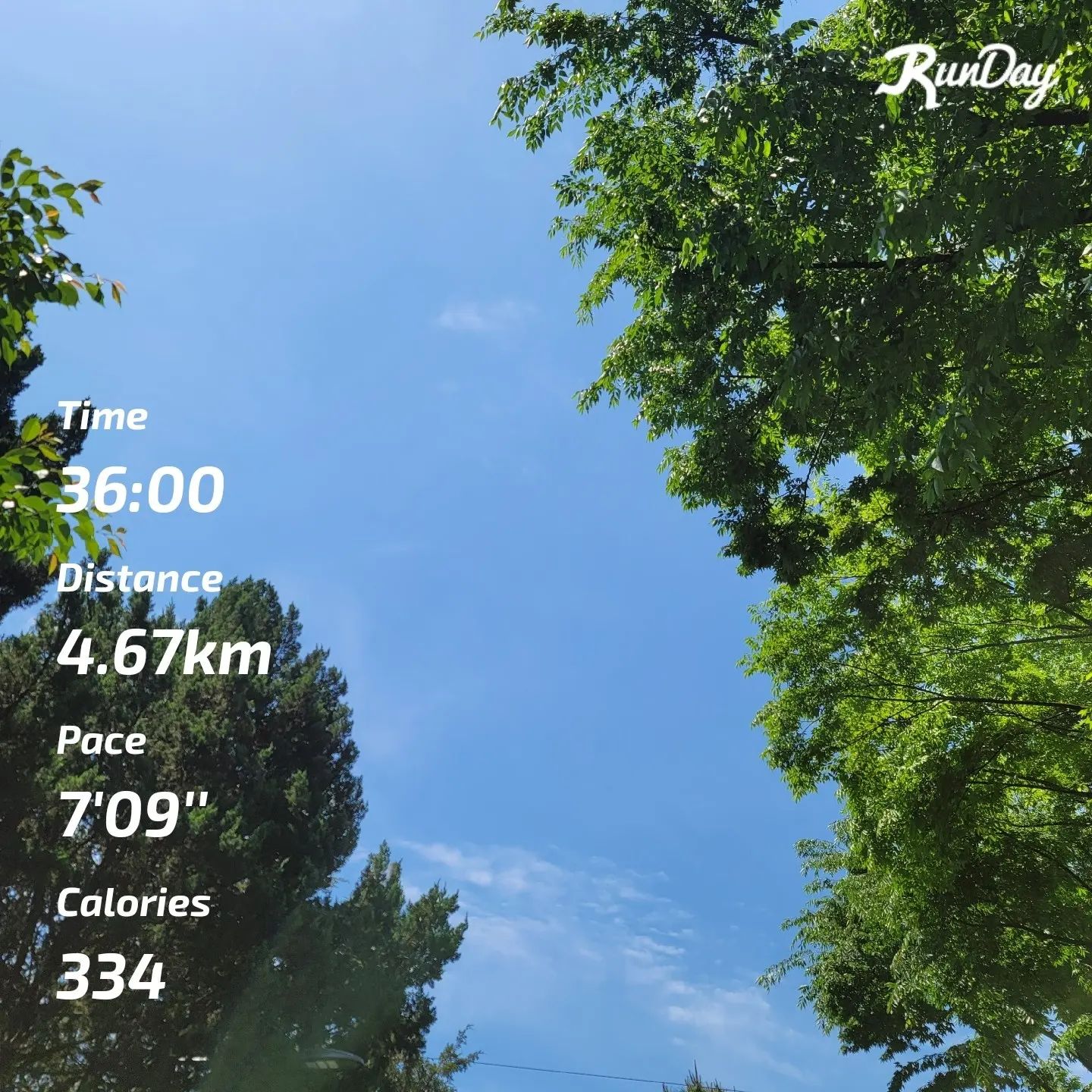 #오늘의운동 #오운완
🏃‍♀️
오늘은 발목 컨디션이 안좋아서 살살 뛰었어요
근데 빡세게 뛸 때보다 종아리가 더 아픈건 무엇...?
🤔
#런데이 #런스타그램 #런닝 #러닝 #러닝스타그램 #내가해냄