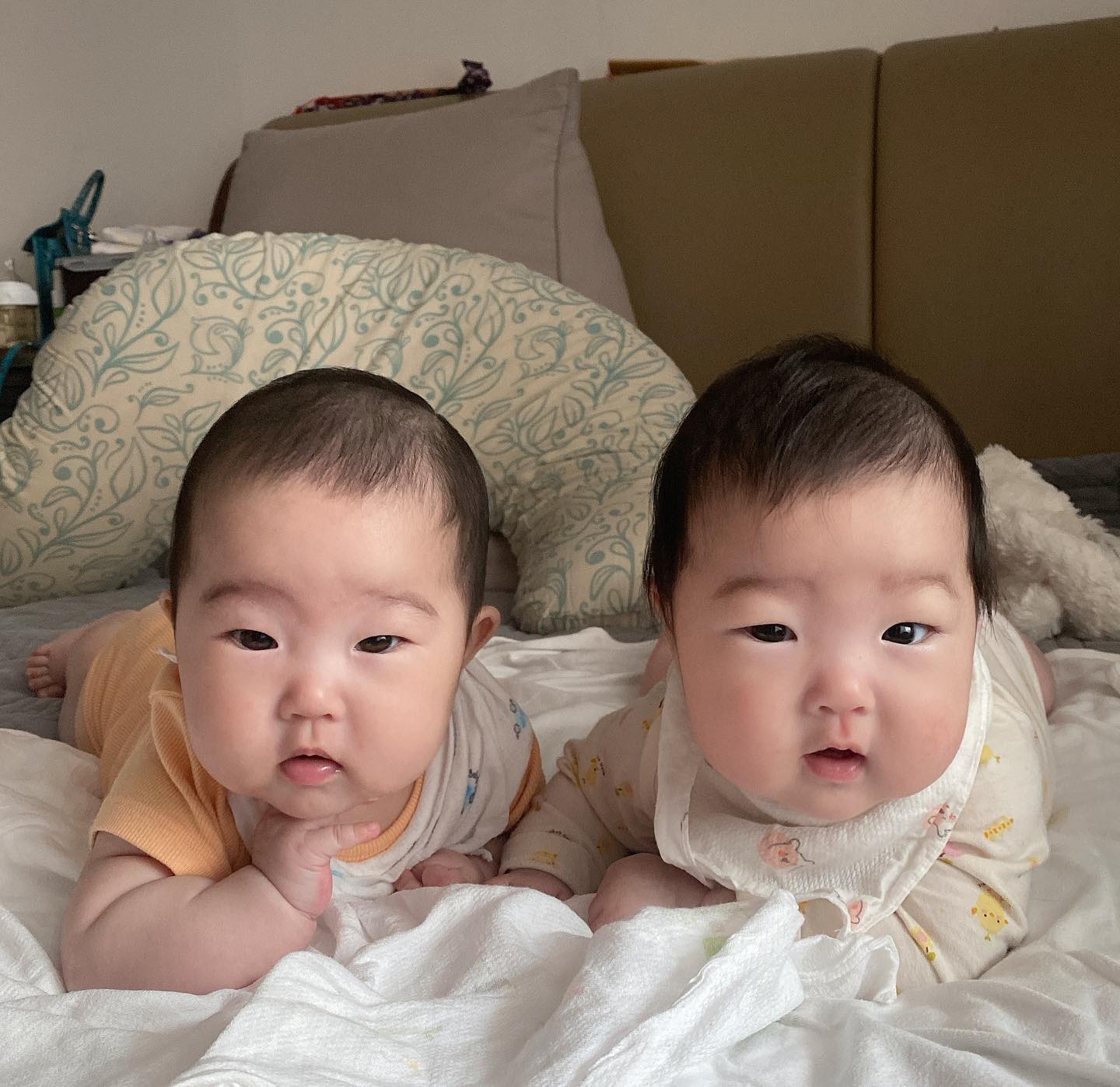 ｂｏｍｓｏｍ _

우리 둥이들 점점 닮아 가지요💛
요새 다시 인스타를 드려다보는데
다들 너무 잘크고 있잖아요!!

다 너무 귀여어 아기들 최고👍🏻