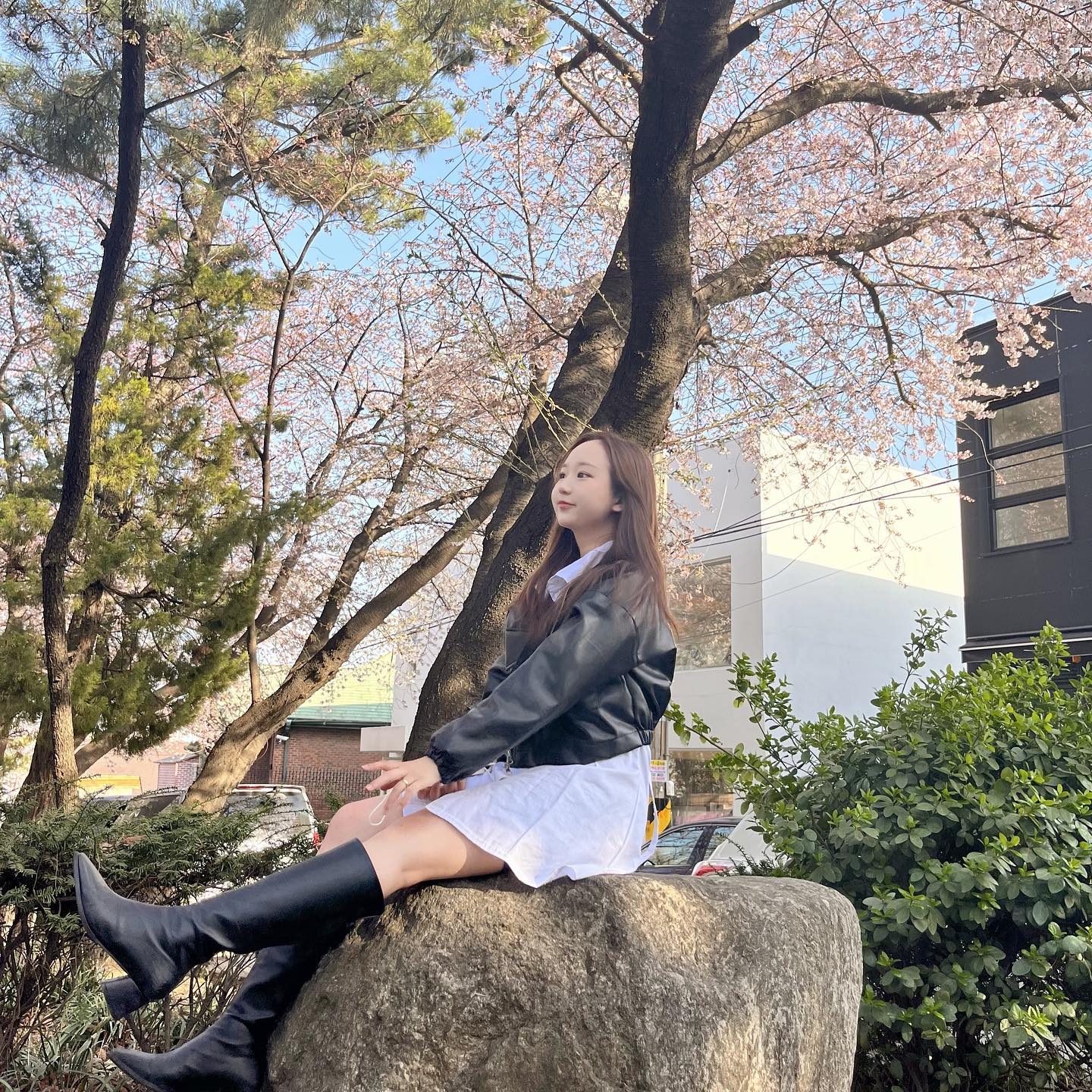 🌸