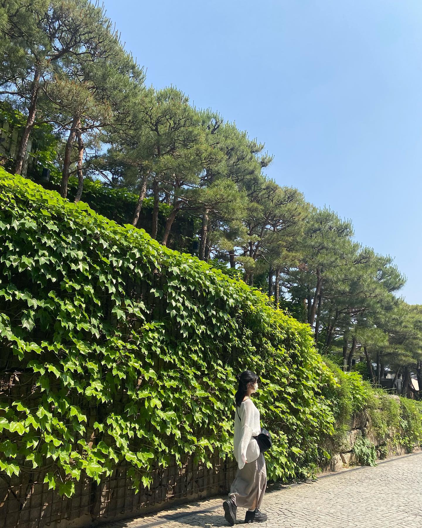 10장 꽉꽉 채웠다!O.<🌿🤍

몰래몰래 순간포착으로 사진 잘찍어주셔서 감사드립니다🫶🏻