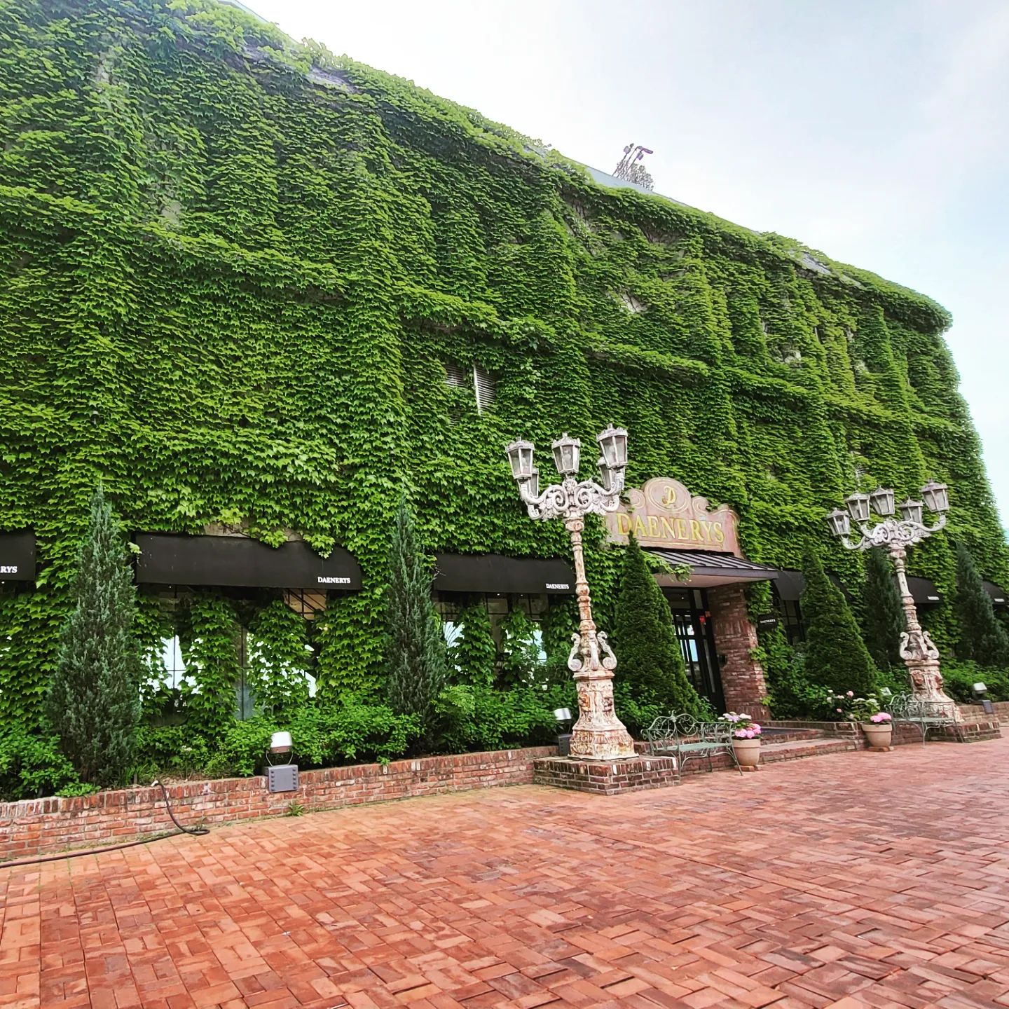 2022.05.21_🌳🌿🍃🍰☕️