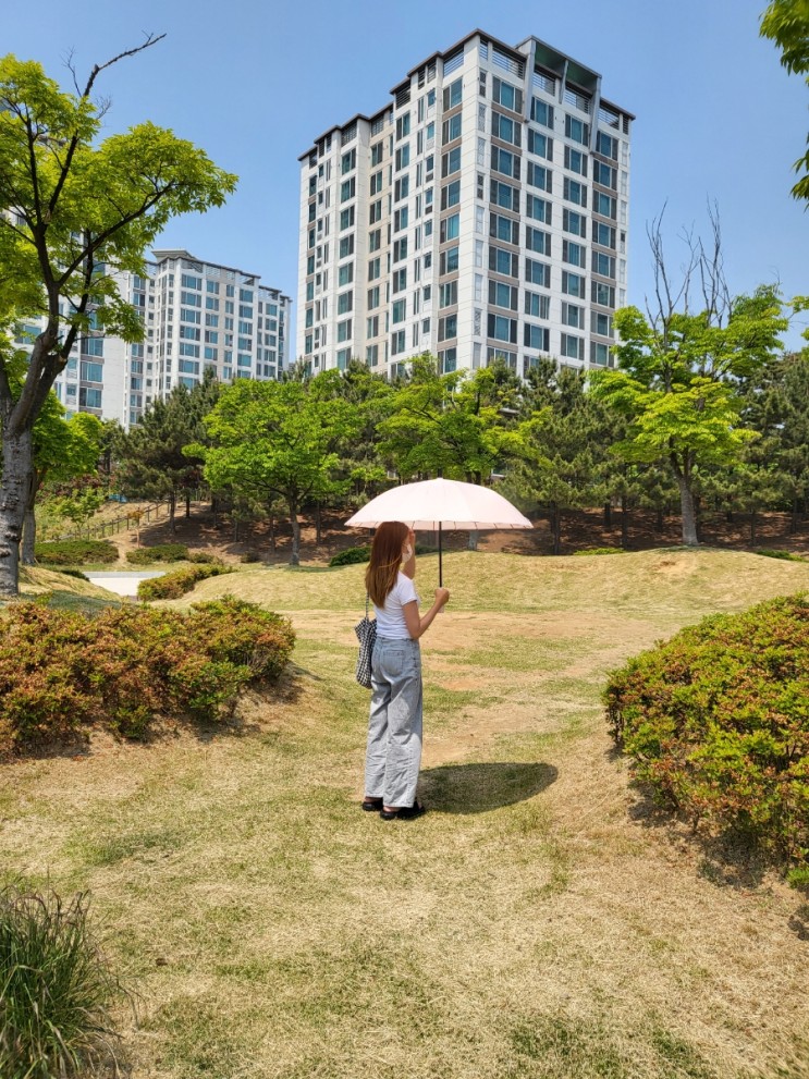 파스텔톤 핑크 우산 : 크로커다일우산 예쁨!