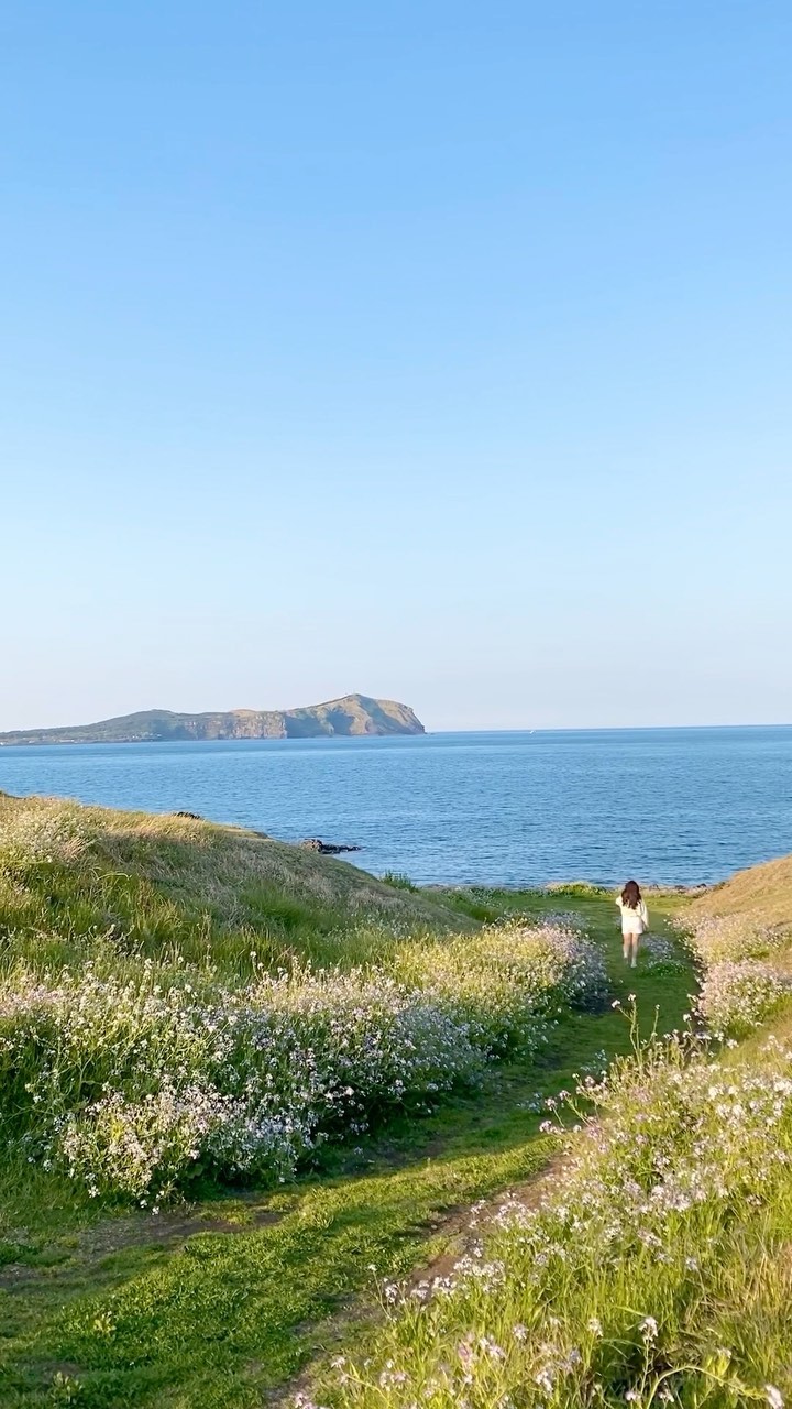 콘텐츠