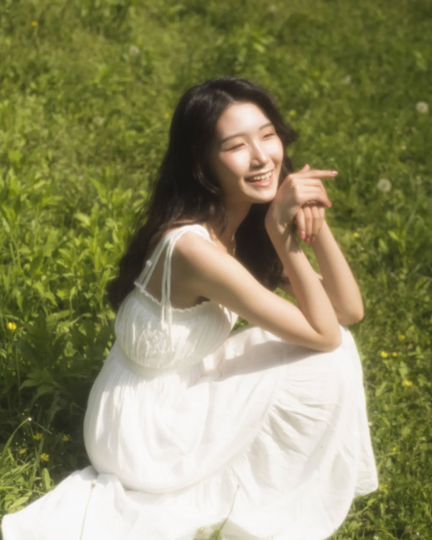 콘텐츠