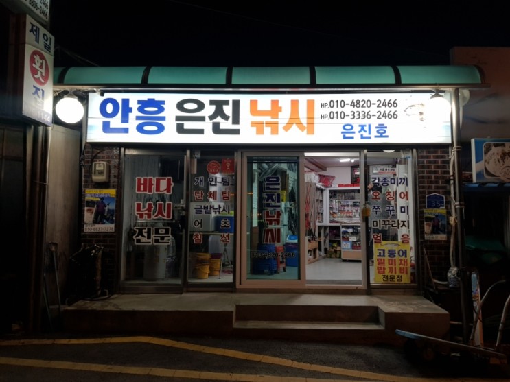 [태안 쭈꾸미배낚시] 쭈꾸미 124마리/갑오징어 28마리 잡음! (안흥은진호/안흥은진낚시)