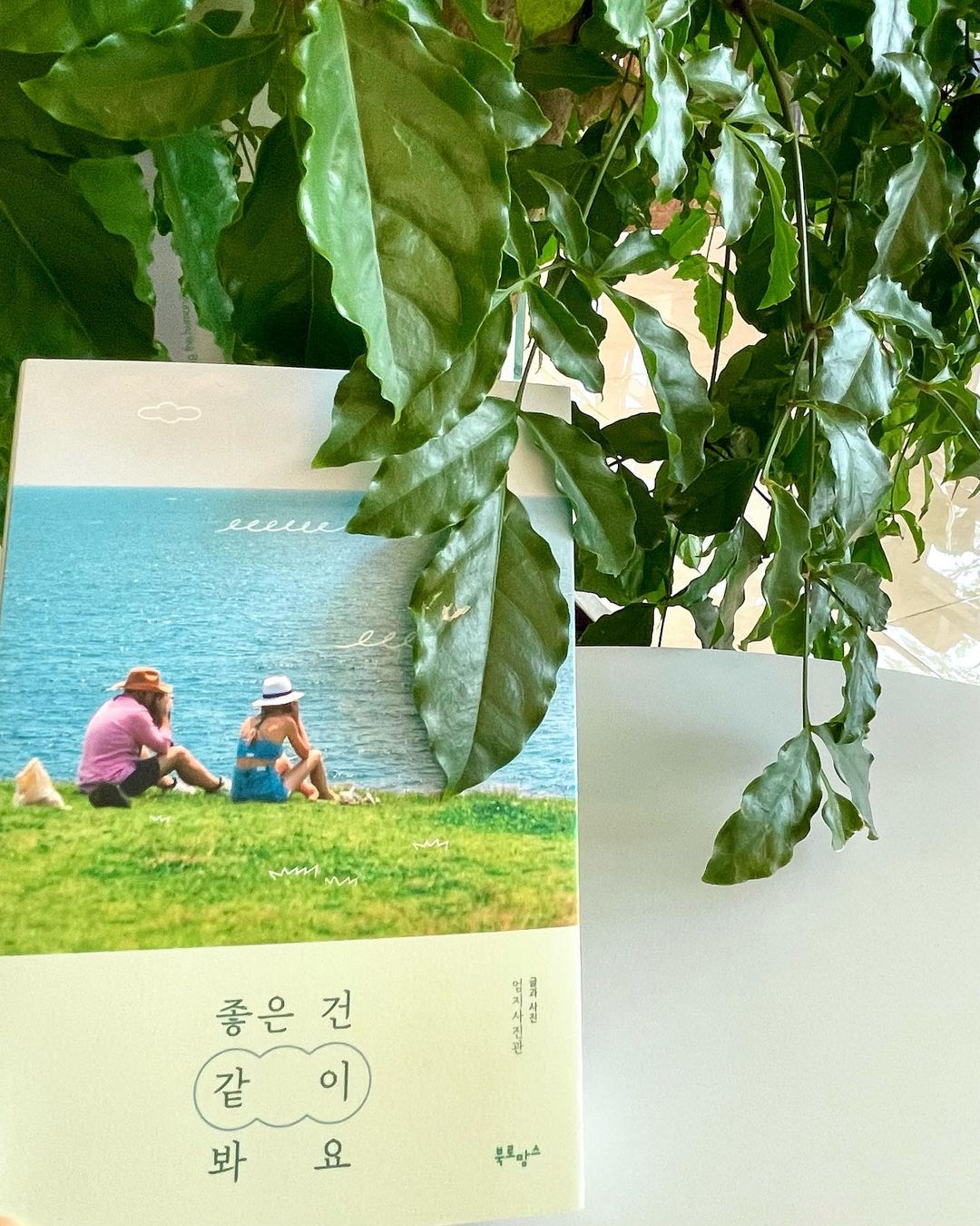 慧 星 (22) on Instagram: “엄지사진관님의 신간 좋은 건 같이 봐요. 작가님이 여행다니시며 직접 찍은 사진들이 가득해서 책 한권으로 대리 여행 다니는 기분 🤭 - "난 여전히 여름이면, 그곳이
