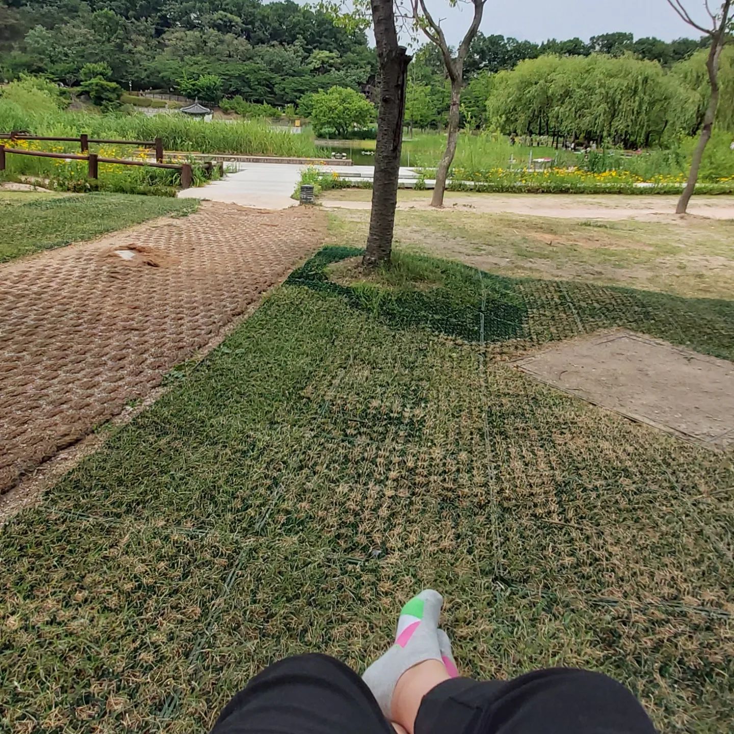 신랑하고
주말에 걸어서 #북서울꿈의숲 숲 
나들이  ㅎ 파라솔치면 안되는거
첨  알았음 ㅋ