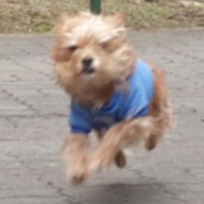 평온한 일상 : 네이버 블로그