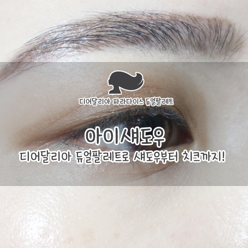 아이섀도우 : 디어달리아 듀얼팔레트로 섀도우부터 치크까지!