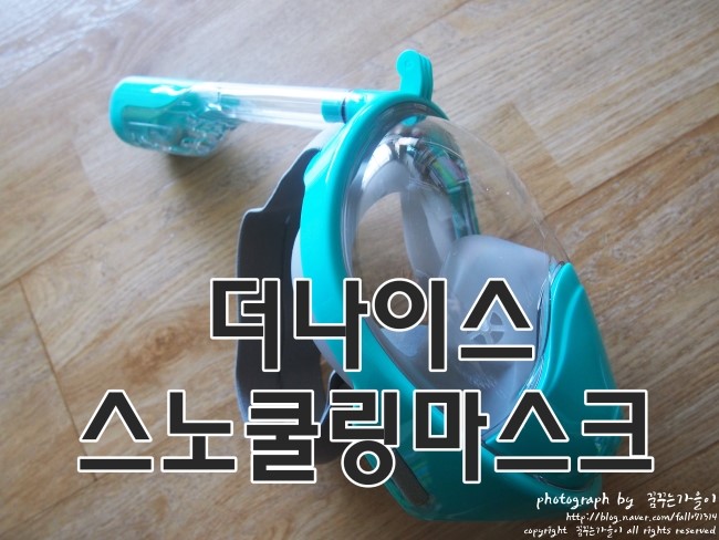 더나이스 스노쿨링마스크로 바다를 온전히 즐겨야지~