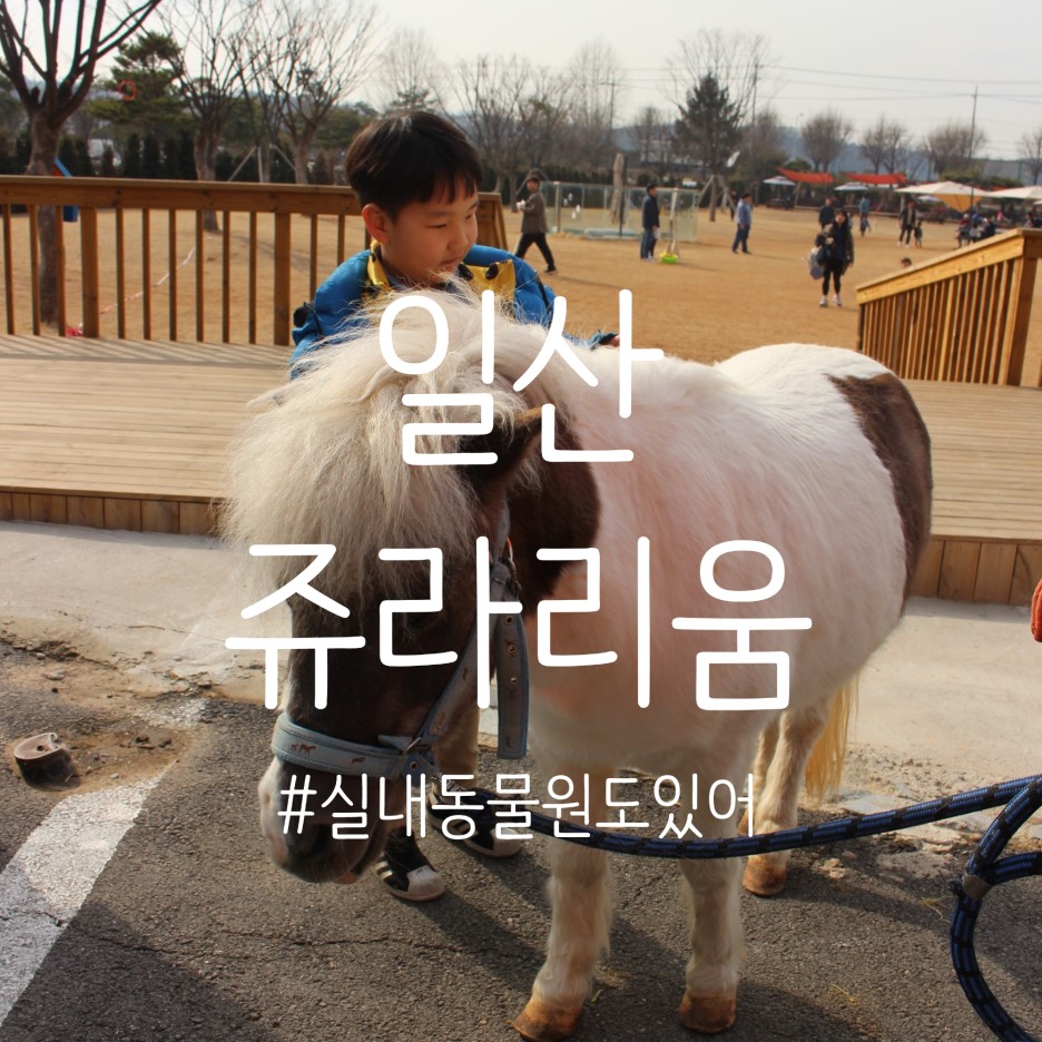 일산쥬라리움 실내동물원도 있어 좋아