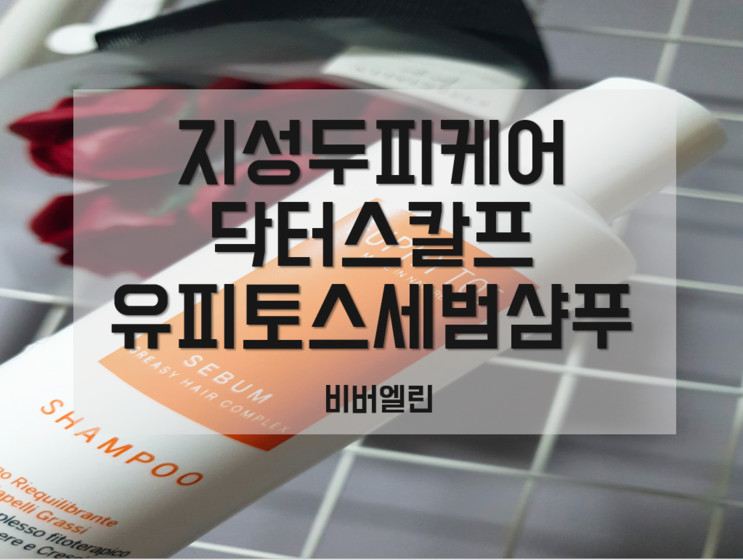 [제품리뷰] 닥터스칼프 지성케어 세범 샴푸 솔직리뷰! 유수분 리밸런싱 최고!