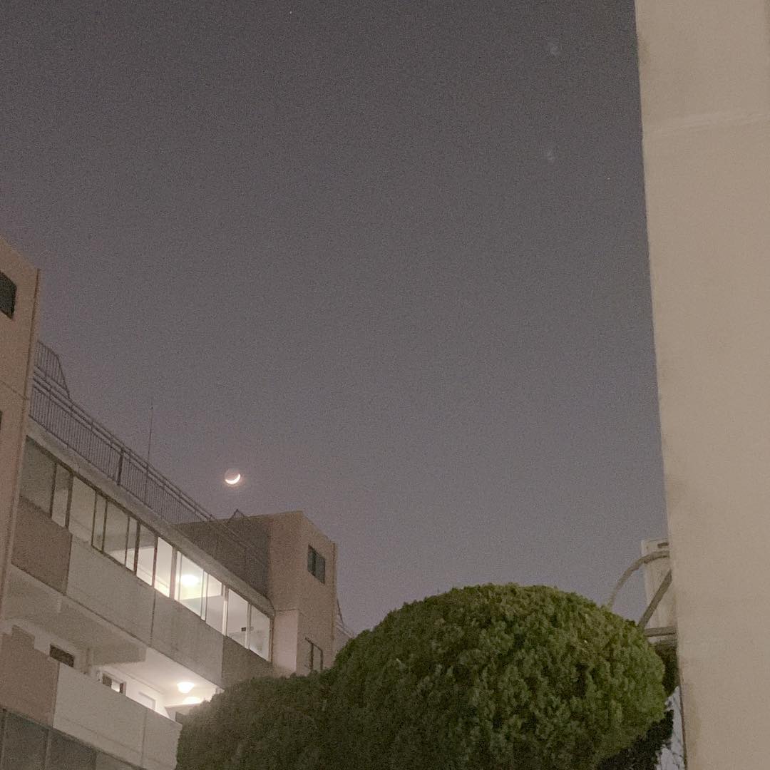 🌙