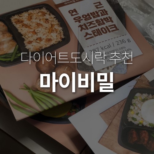다이어트식단배달 편하고 맛있는 마이비밀 다이어트 도시락 솔직후기