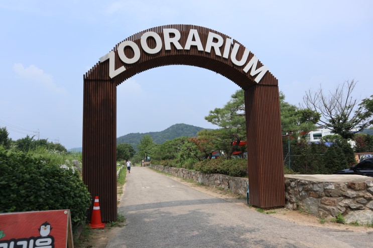 [ 생일에갈만한곳 / 일산 실내동물원] 이색데이트코스 일산 쥬라리움 ◕‿◕