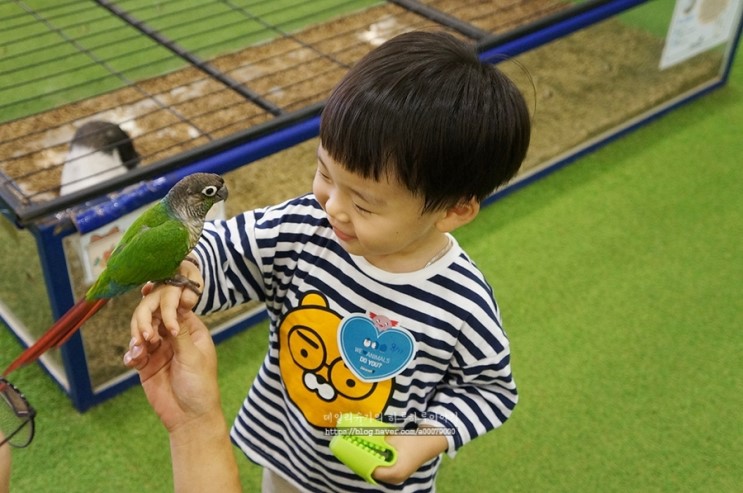 파주 아이와갈만한곳 실내동물원겸 키즈카페 쥬라리움에 다녀왔어요