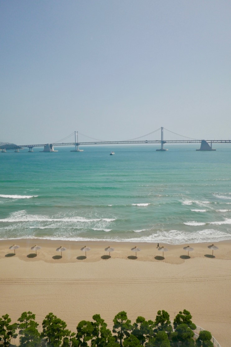 [광안리호텔/광안하운드]부산 여행올때는 마 여기 묵어야한다 아입니꺼 퍼떡 예약하이소 으이!!?