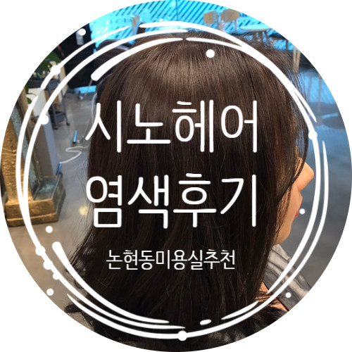 논현동 머리 잘하는 미용실 시노헤어에서 염색후기 - 반려동물동반가능한 논현미용실