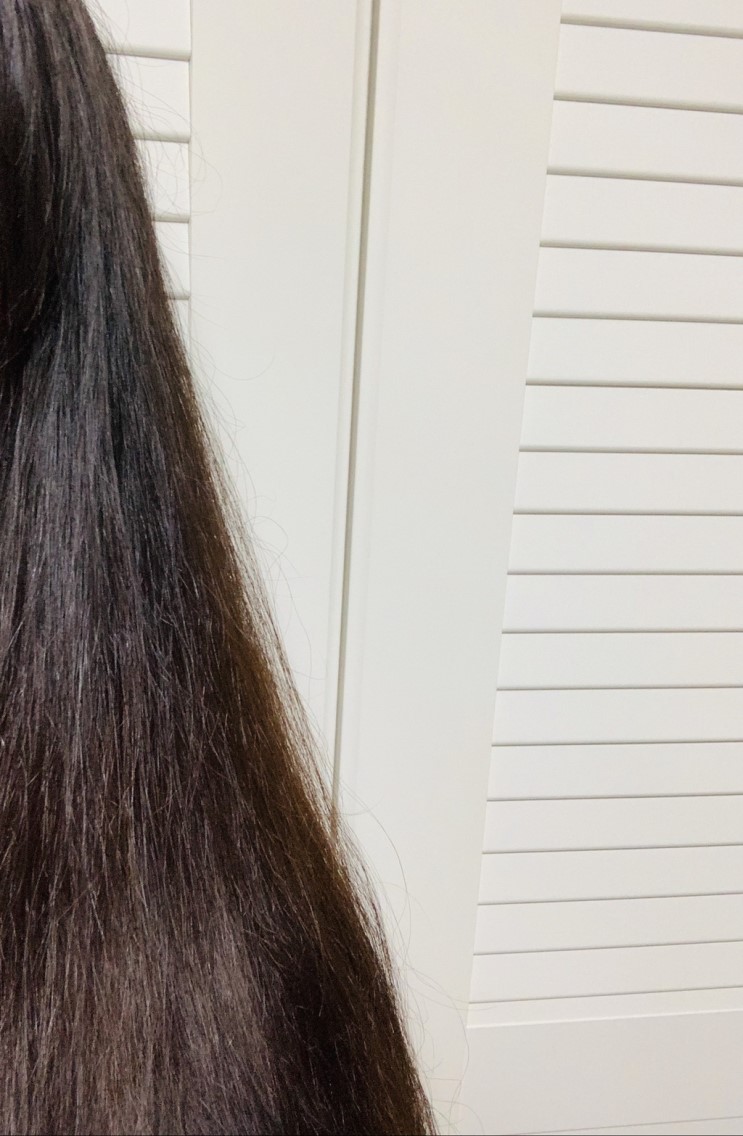 NEW 아르투아 비엔나 실크 퍼퓸 트리트먼트