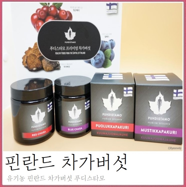 차가버섯분말차 푸디스타모 프리미엄 추석 선물 추천