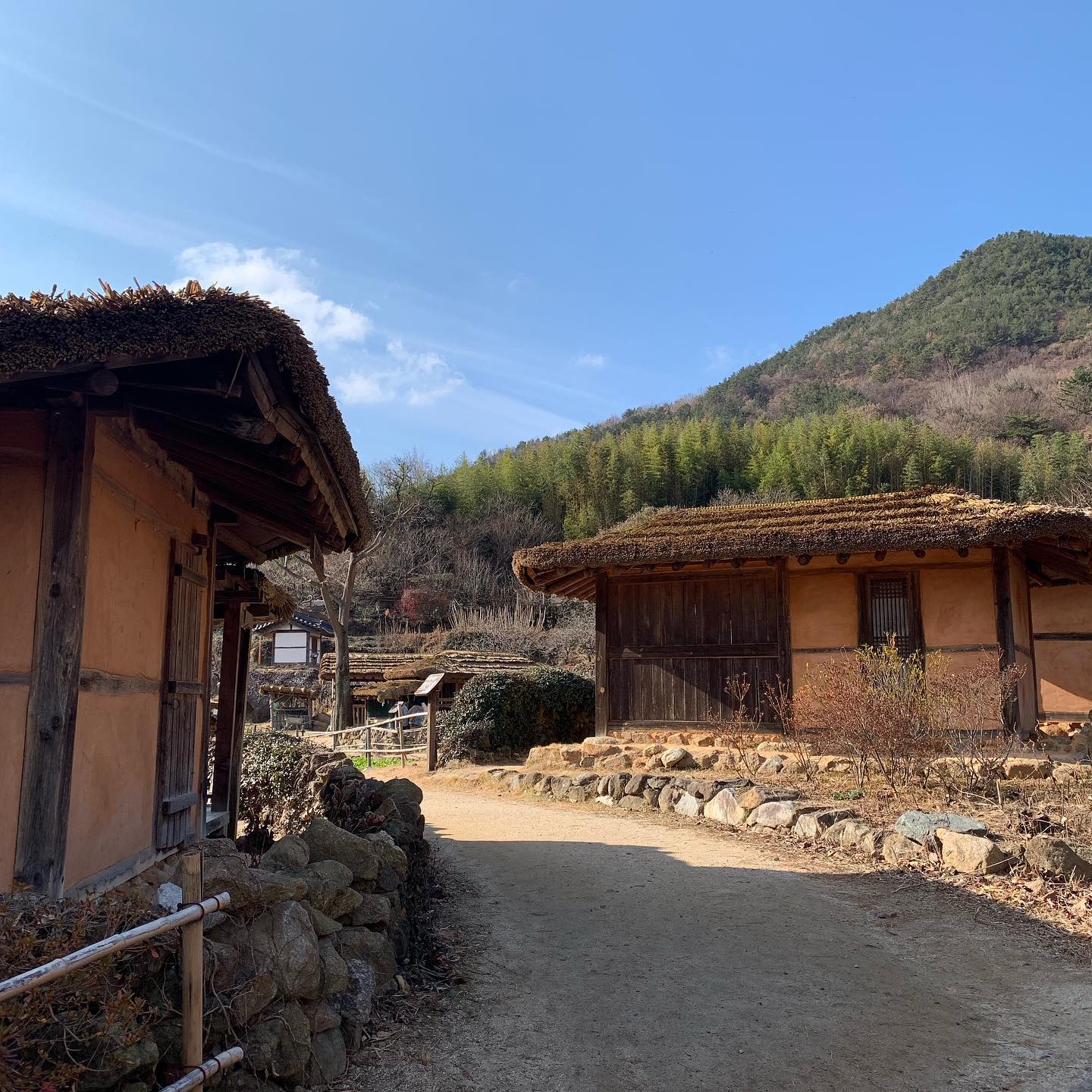 원래 나이들면 
옛것이 좋아지나요....??!??
신세대 감성은 어디로🤭