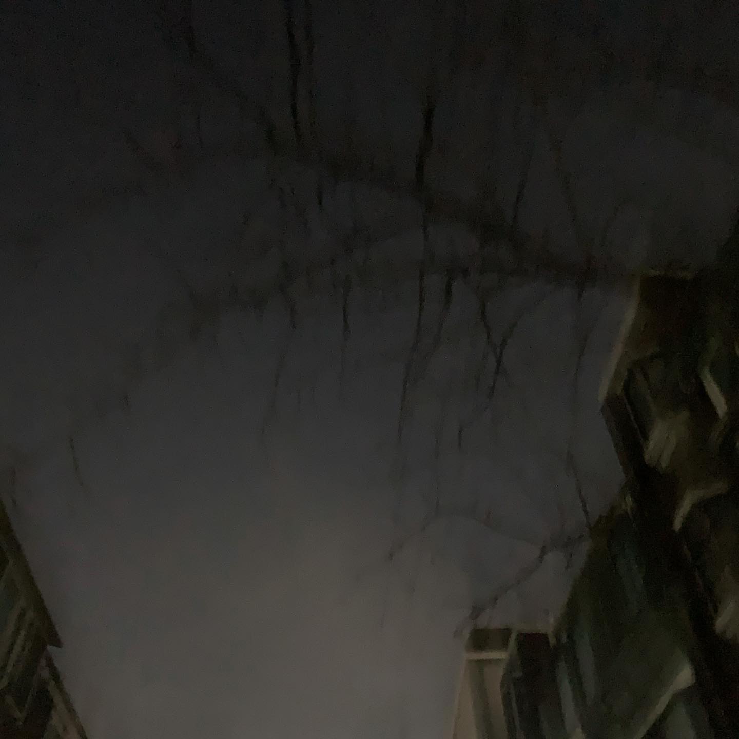 200113 | 나도 행복하고 싶다 이거지