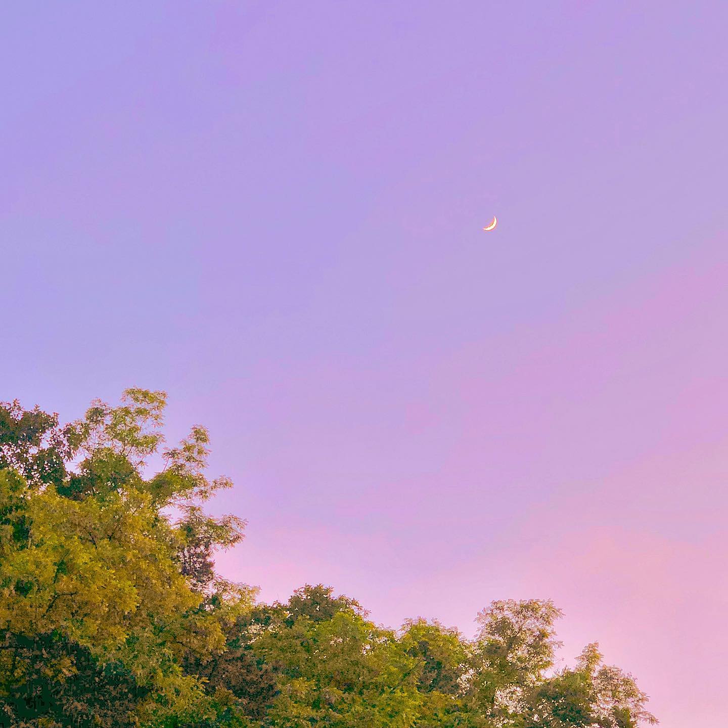 ⠀⠀⠀⠀⠀⠀⠀⠀⠀⠀⠀⠀⠀⠀⠀⠀
⠀⠀⠀⠀⠀⠀⠀⠀⠀⠀⠀⠀⠀⠀⠀⠀
오늘의 #손톱달
⠀⠀⠀⠀⠀⠀⠀⠀⠀⠀⠀⠀⠀⠀⠀⠀
⠀⠀⠀⠀⠀⠀⠀⠀⠀⠀⠀⠀⠀⠀⠀⠀