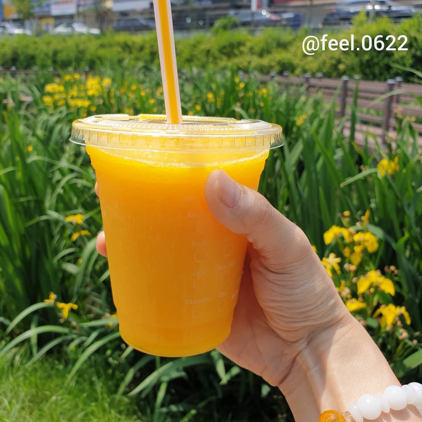 #맥도날드신메뉴 #한라봉칠러
.
제주 한라봉의 상큼함을 담았다는데
.
한입 마셔보면 새큼 상큼함이 혀를 강타하네.
.
첫맛은 새큼상큼하고 끝맛은 씁쓸함이
.
감도는 게 이런 독특한 맛이 매력적.
.
다만, 중간쯤 마시면 오렌지주스와 별로
.
차이를 못 느끼게 된다는 게 아쉬울 뿐.
.
맛 점수는 5점 중 3점
(1점:그닥, 2점: 소소, 3점:괜찮, 4점:또먹, 5점:추천)
.