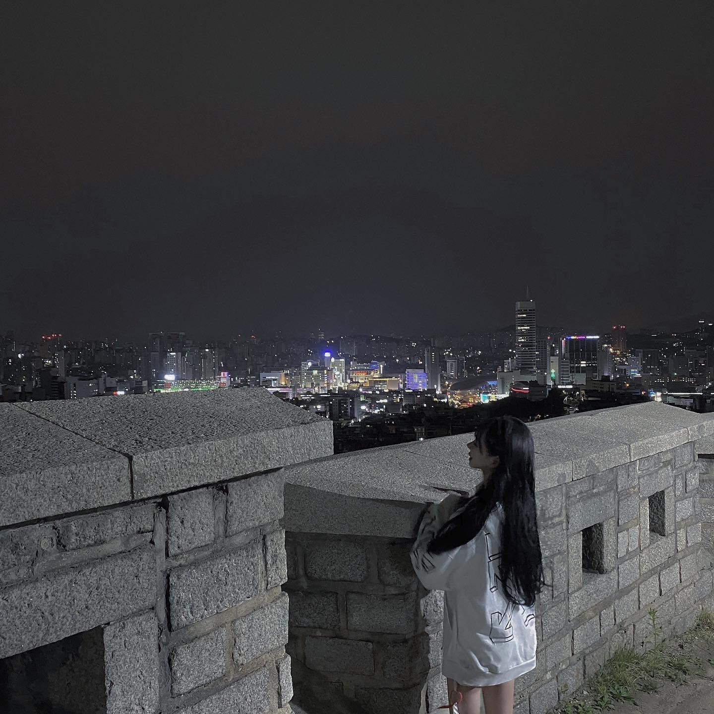 🌃