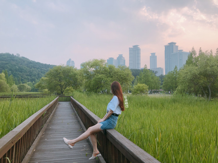 여자 반팔 / 커플 티셔츠 추천 베테제