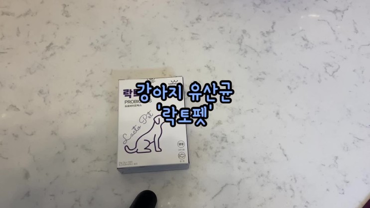 웰빙엘에스 강아지유산균 락토펫먹으면 이게 좋다는데?