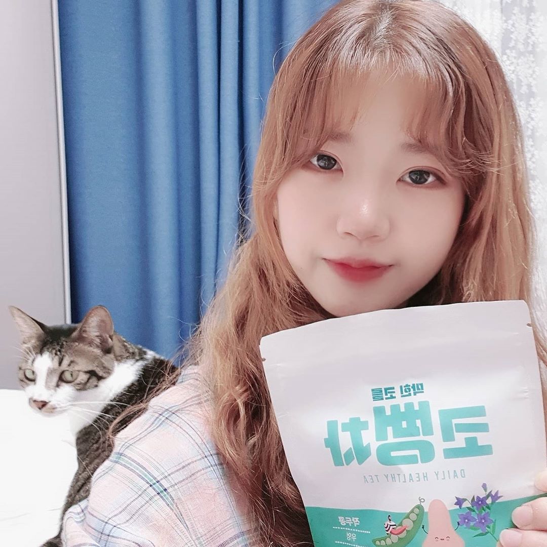 슬기 on Instagram: “매일 비염때문에 힘들어서 요즘에 마시고 있는 #코뻥차 이름만 들어도 어디에 좋은지 알거같쥬😁😁 이름도 너무 재밌고 디자인도 너무 예쁘더라구요🥰 멍냥이들 키우