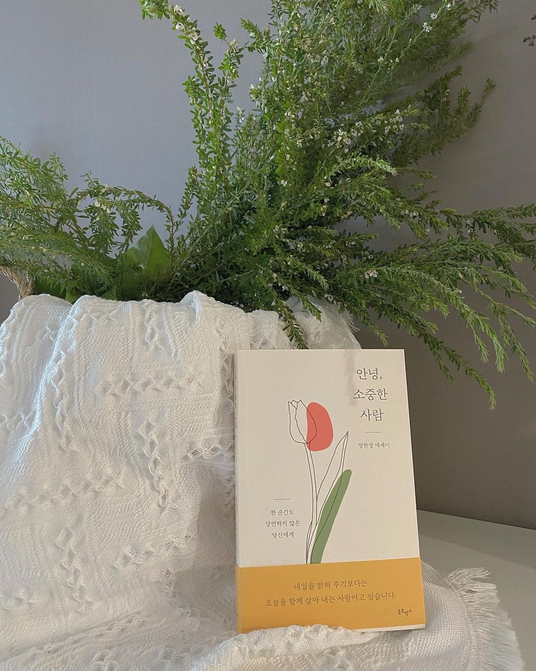수화 on Instagram: “⠀⠀⠀⠀⠀⠀ 결혼 후 책이랑 잠시 멀었다가 여유가 생긴 지금 책을 다시 읽고