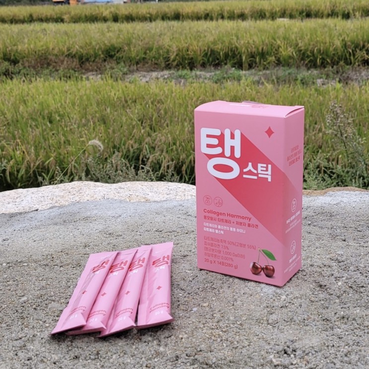 탱스틱 타르체리젤리 피로할때 챙겨먹는 직장인 필수템