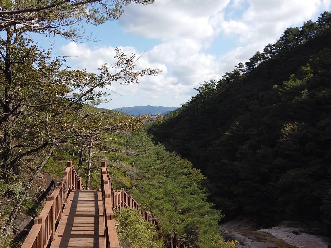 #두타산 #대방골 #고천리마을 #계곡트레킹 #대방골계곡 #두타사 #원더풀삼척

두타산 자락에 위치한 고천리마을. 두타산을 오르는 들머리 중 하나인 대방골 들머리가 있는 곳으로 왕복 1시간 코스의 계곡 트레킹을 즐기고 왔습니다. 출발지점인 두타사에서부터 아기자기한 폭포와 아름다운 풍경을 즐길 수 있는 곳으로 대방골 계곡 옆 탐방로를 따라 걸으며 계곡 물소리와 새소리를 듣고 야생화를 보며 힐링할 수 있는 시간이었습니다. 

주소: 강원도 삼척시 미로면 고천1길 483 두타사