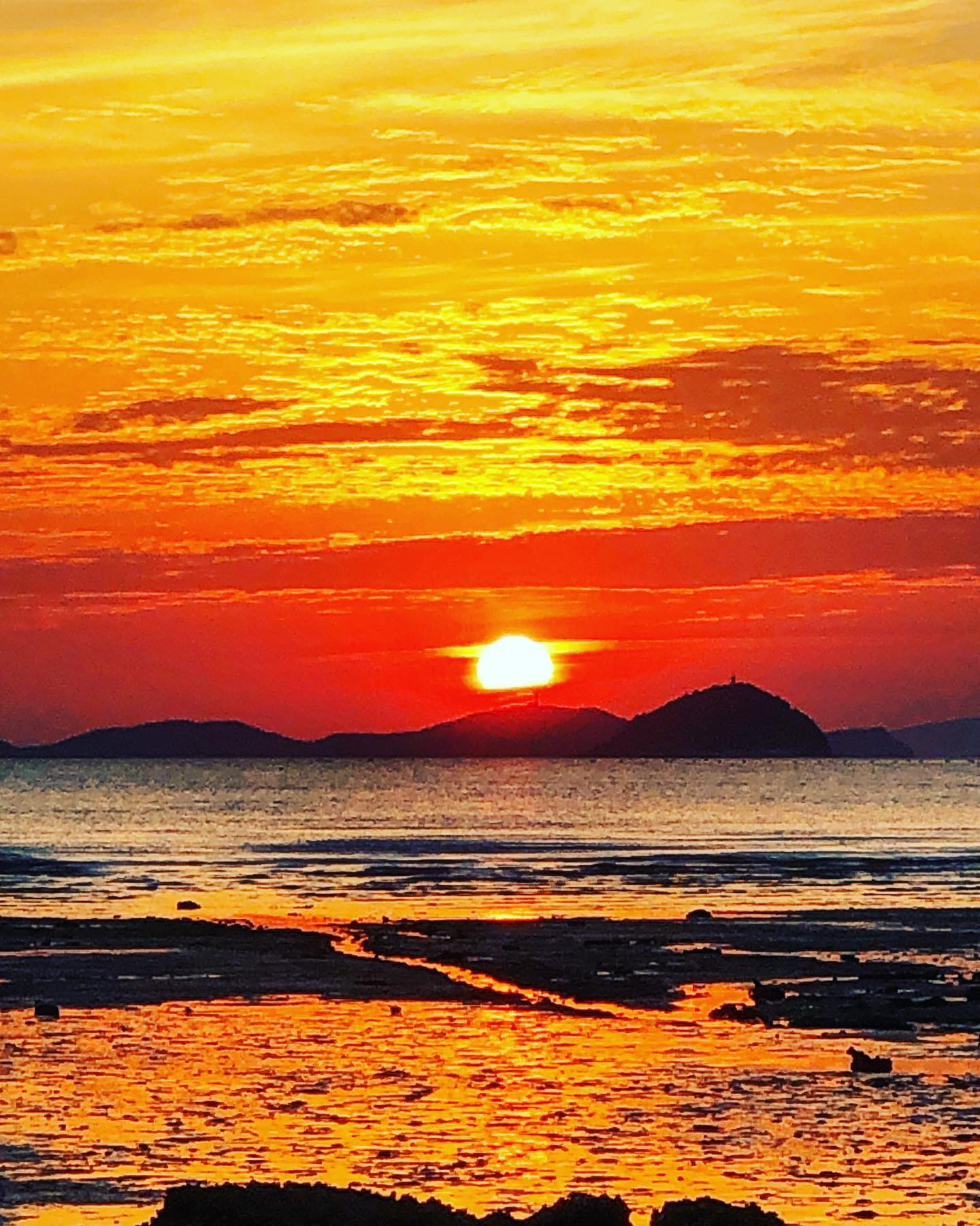 🌅