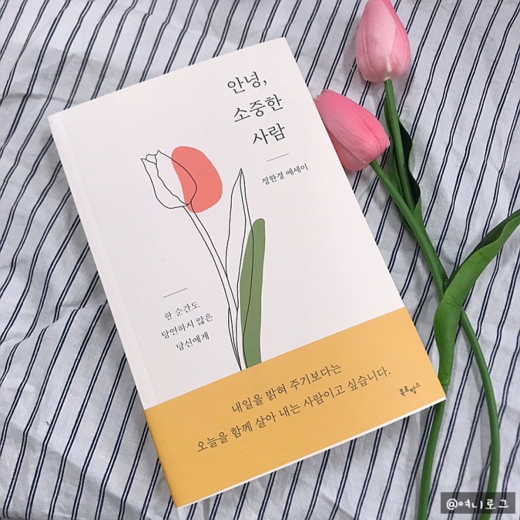 소중한 인연에게 힘이 되어주기 위해 선물하기 좋은 베스트셀러ღ 정한경 힐링 에세이 《 안녕, 소중한 사람 》