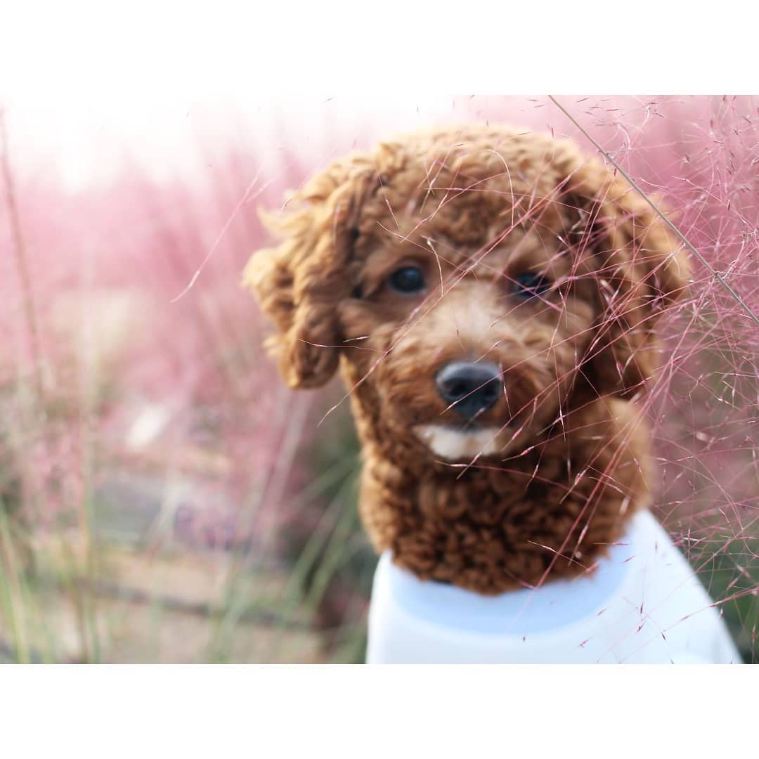 나 김쪼랭 분위기있는 가을남자🍂