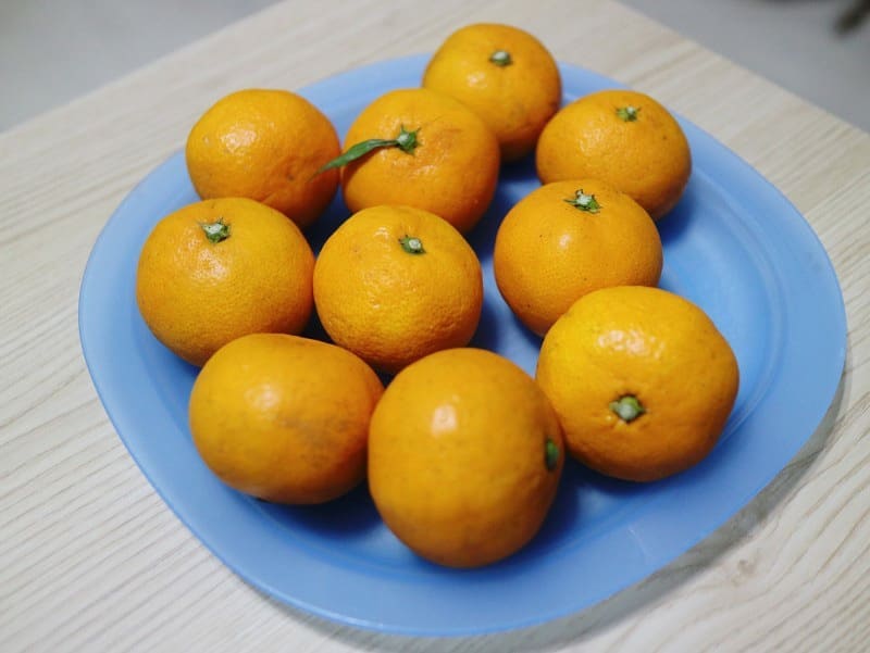 안녕하세요. 메이 입니다.
코로나 때문에 집톡 하고 있는 요즘.
하루 종일 왜케 먹을게 땡기는지요. 

그래서 겨울에만 맛볼 수 있는 제철 과일인 제주도 감귤 제주가치 jejugachi 감귤을 택배고 주문했어요. 

제주산지에서 맑은 공기, 태풍 맞으며 자란 제주 노지감귤이라 일반 마트처럼 보존제/광택제를 바르지않아 못난이로 보이지만 오히려 더 달고 상큼하답니다.
그리고 과즙 팡팡!

집에서 귤만 먹으니 하루종일 상큼한 하루를 보내게 되네요~^^

#제주도감귤 #제주감귤 #제주가치 #제주도과일택배 #과일택배주문 #제주도귤주문